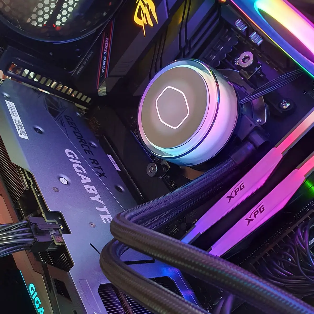 PC Gamer F Rog 5950X - Bulltech Store