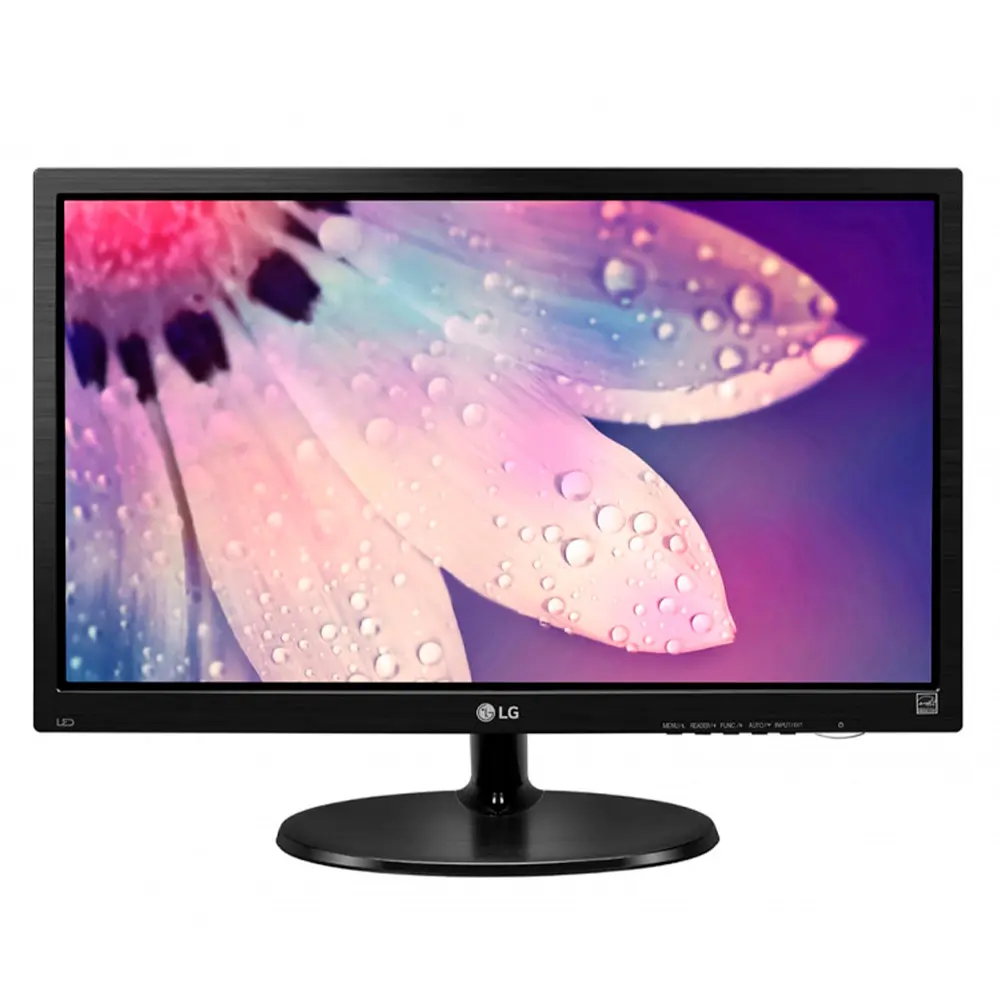 Monitor LG 19M38H-B