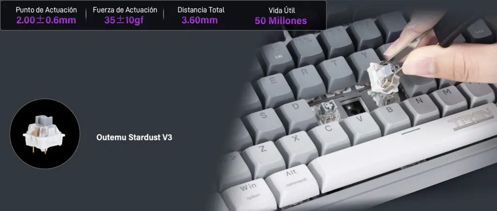 Teclado Gamer Mecánico Inalámbrico Terport TR9N