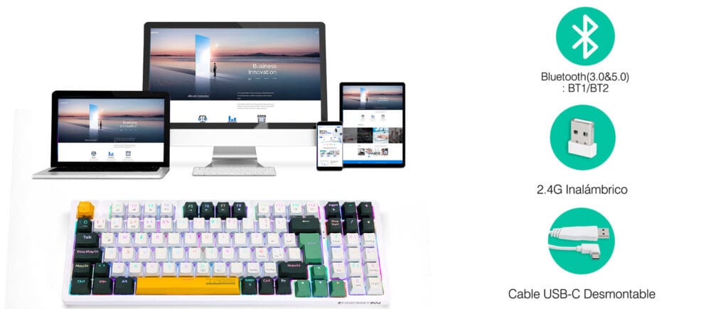 Teclado Gamer Mecánico Terport TR95/Z-94 | 90% | Español | Bluetooth/2.4G Usb/Cableado